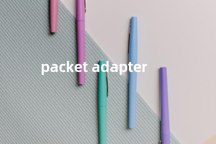 packet adapter单词图解，单词释义场景配图