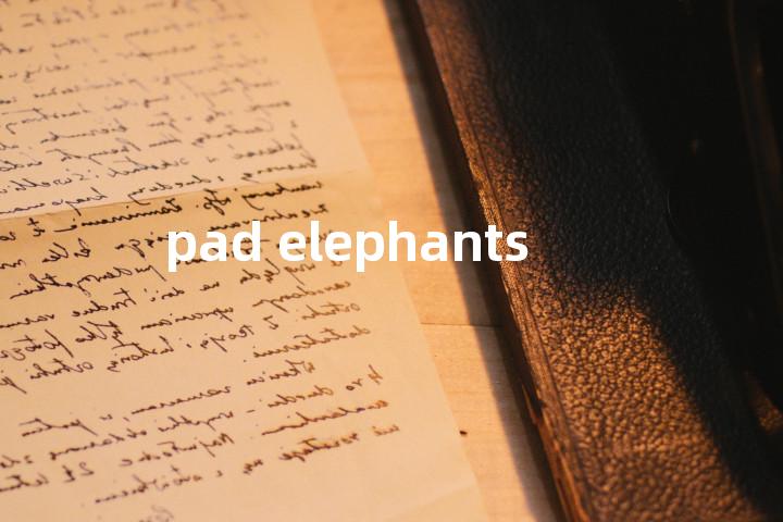 pad elephants单词图解，单词释义场景配图