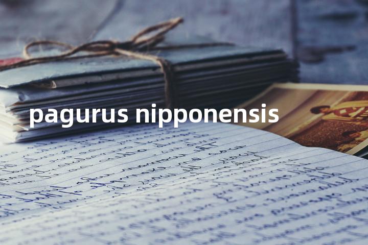 pagurus nipponensis单词图解，单词释义场景配图