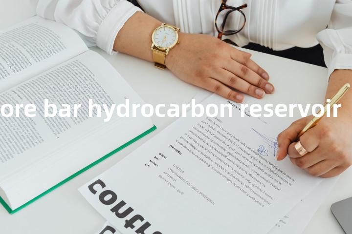 palaeooffshore bar hydrocarbon reservoir单词图解，单词释义场景配图