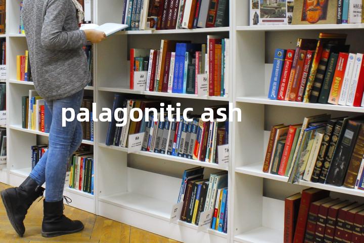 palagonitic ash单词图解，单词释义场景配图