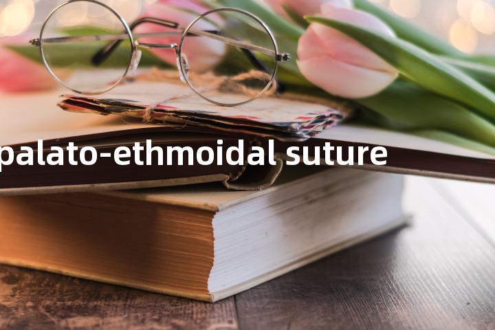palato-ethmoidal suture单词图解，单词释义场景配图