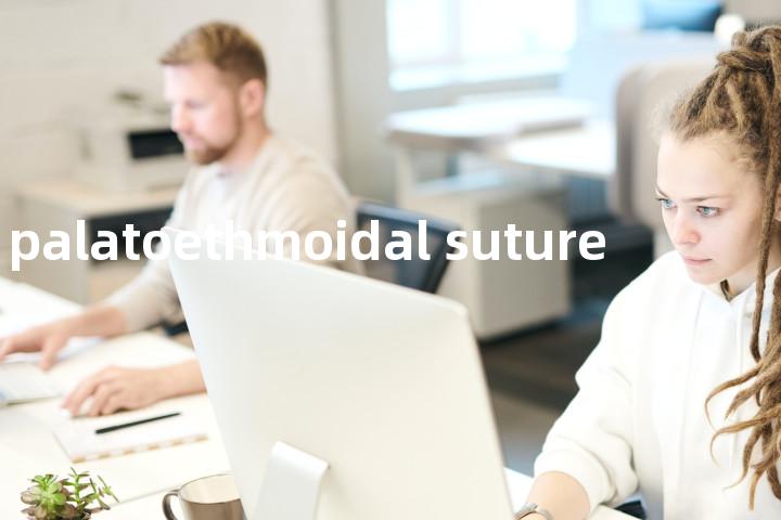 palatoethmoidal suture单词图解，单词释义场景配图