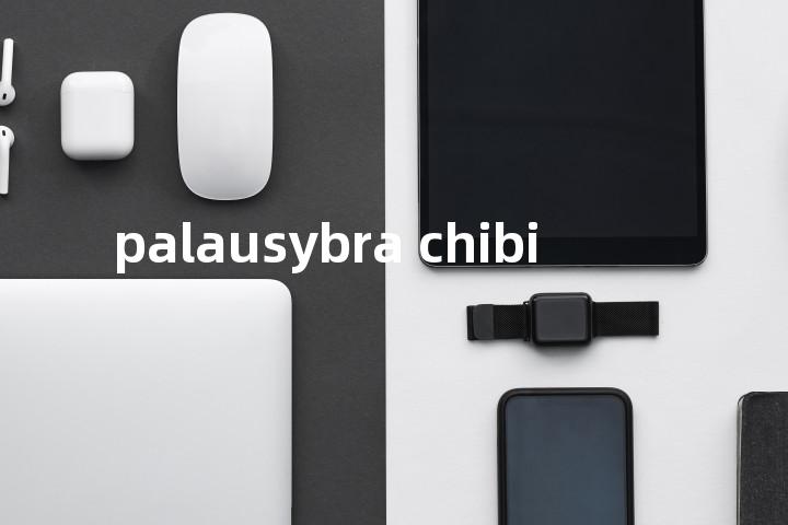 palausybra chibi单词图解，单词释义场景配图