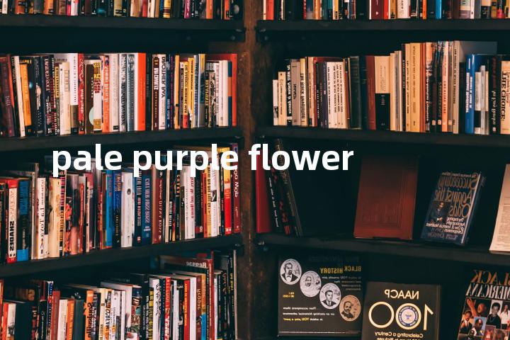 pale purple flower单词图解，单词释义场景配图