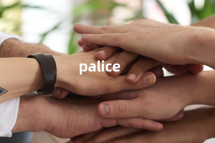 palice单词图解，单词释义场景配图