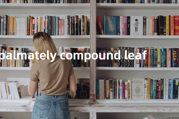 palmately compound leaf单词图解，单词释义场景配图