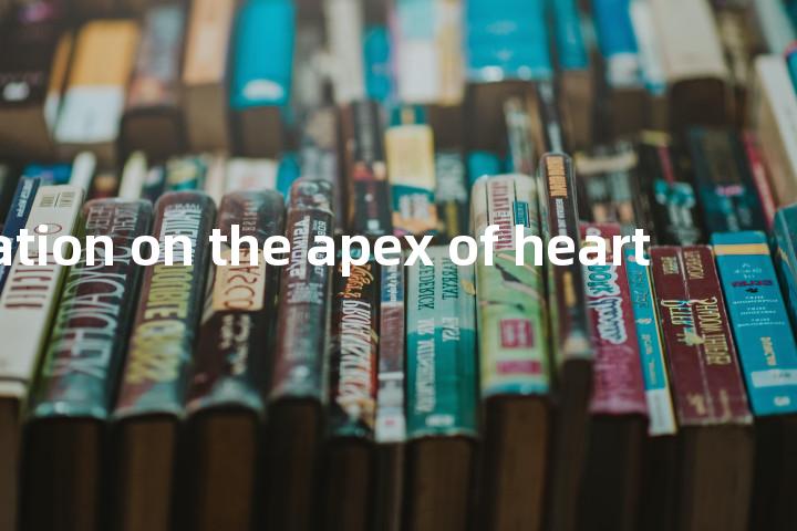 palpation on the apex of heart单词图解，单词释义场景配图