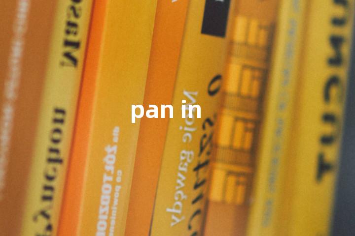 pan in单词图解，单词释义场景配图