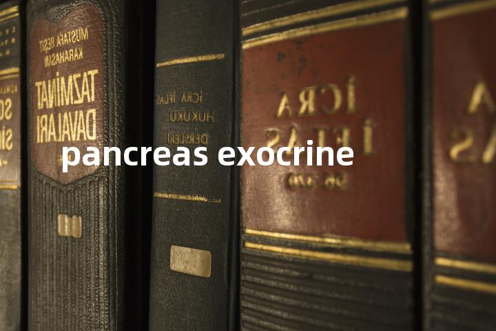 pancreas exocrine单词图解，单词释义场景配图