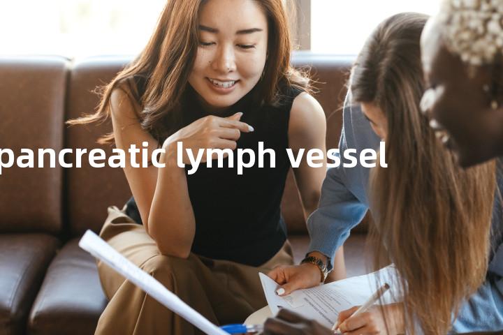 pancreatic lymph vessel单词图解，单词释义场景配图