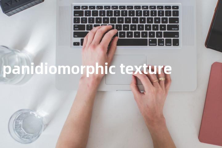 panidiomorphic texture单词图解，单词释义场景配图