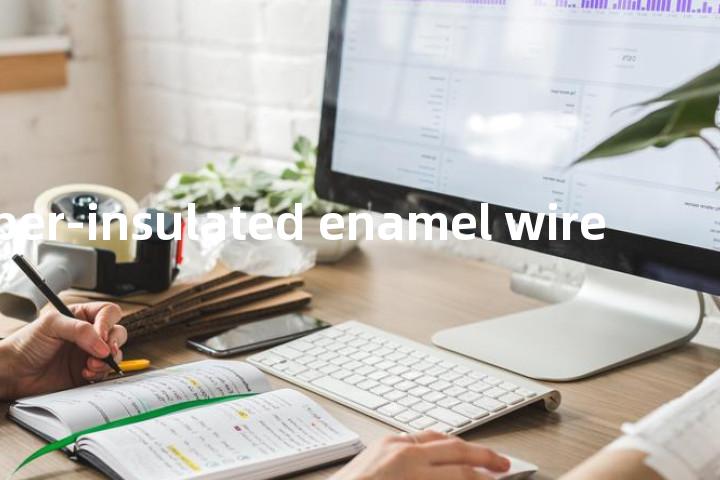 paper-insulated enamel wire单词图解，单词释义场景配图