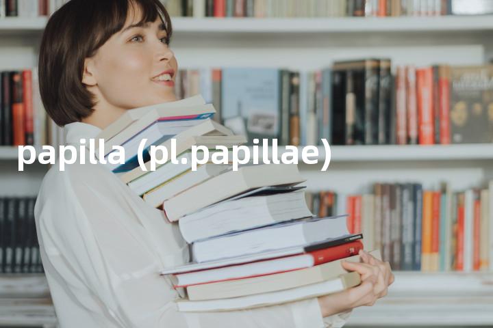 papilla (pl.papillae)单词图解，单词释义场景配图