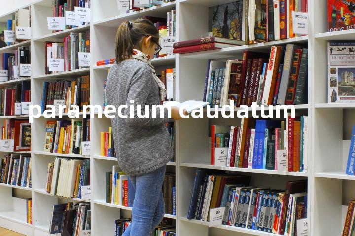 paramecium caudatum单词图解，单词释义场景配图