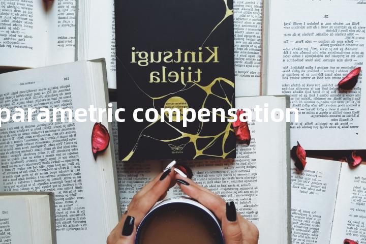 parametric compensation单词图解，单词释义场景配图