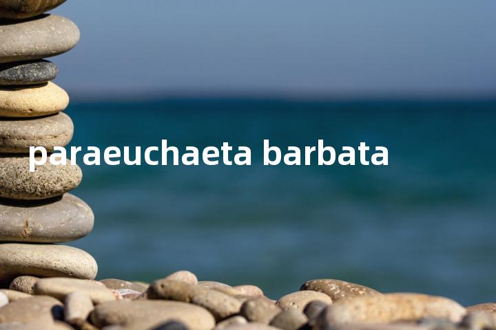 paraeuchaeta barbata单词图解，单词释义场景配图