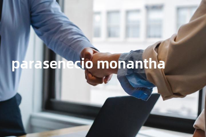 parasenecio monantha单词图解，单词释义场景配图
