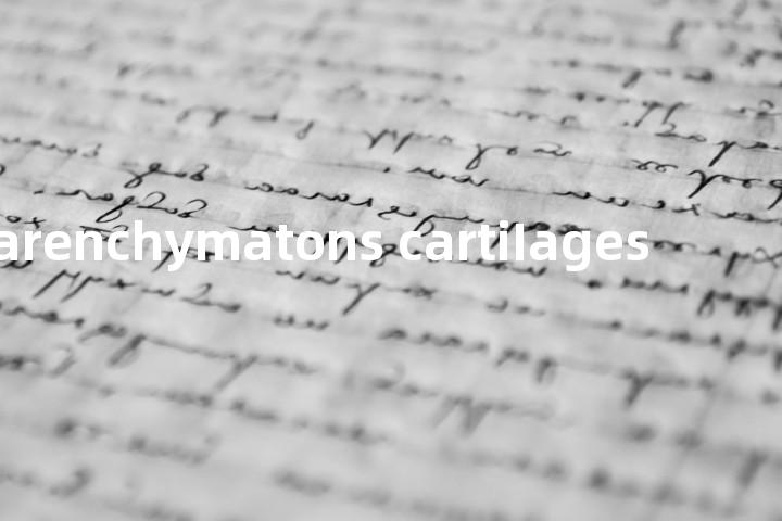 parenchymatons cartiIages单词图解，单词释义场景配图
