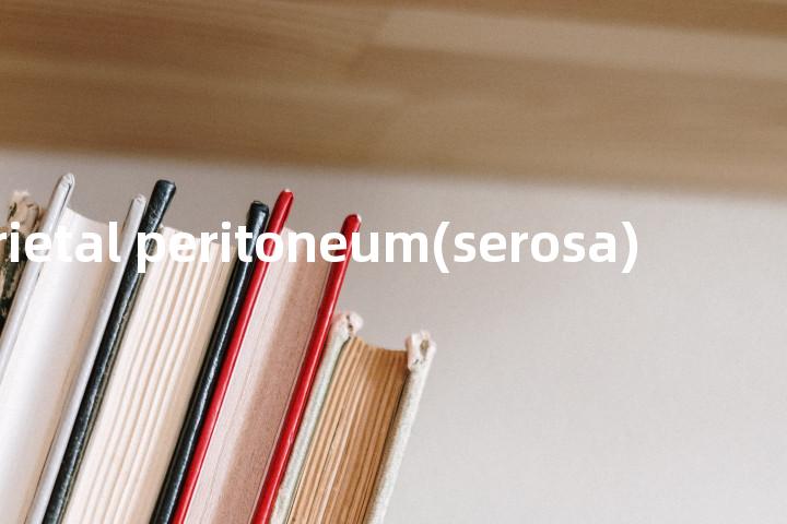 parietal peritoneum(serosa)单词图解，单词释义场景配图