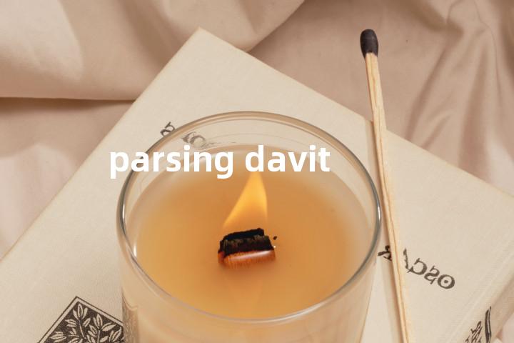 parsing davit单词图解，单词释义场景配图
