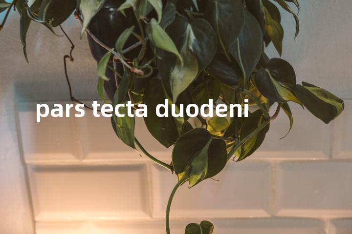 pars tecta duodeni单词图解，单词释义场景配图