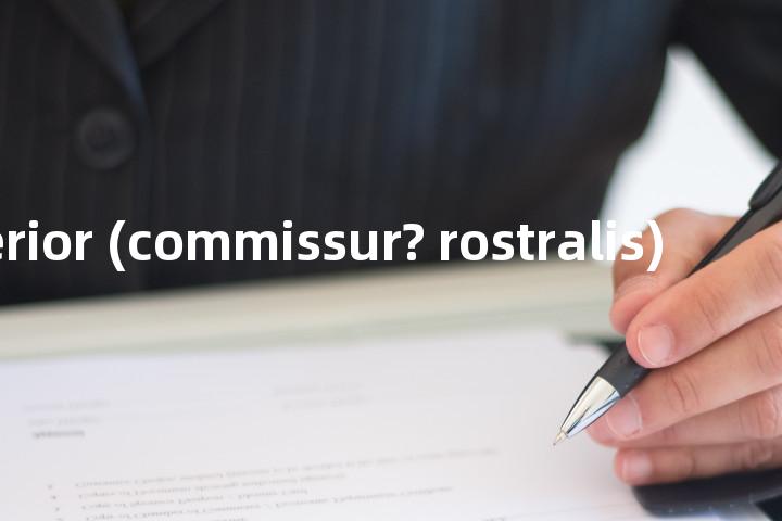 pars anterior (commissur? rostralis)单词图解，单词释义场景配图
