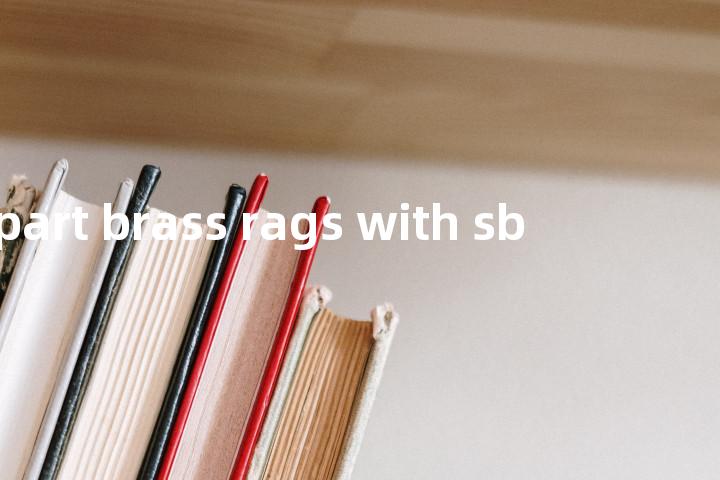 part brass rags with sb单词图解，单词释义场景配图