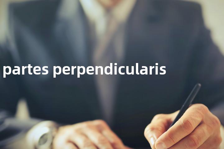 partes perpendicularis单词图解，单词释义场景配图