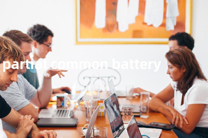 partial common battery单词图解，单词释义场景配图