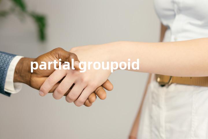 partial groupoid单词图解，单词释义场景配图