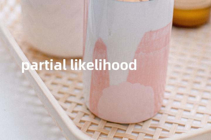 partial likelihood单词图解，单词释义场景配图