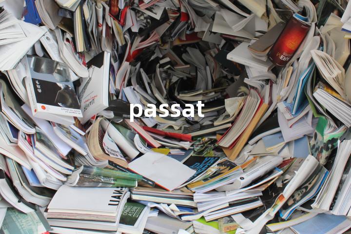 passat单词图解，单词释义场景配图