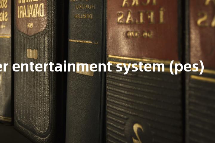 passenger entertainment system (pes)单词图解，单词释义场景配图