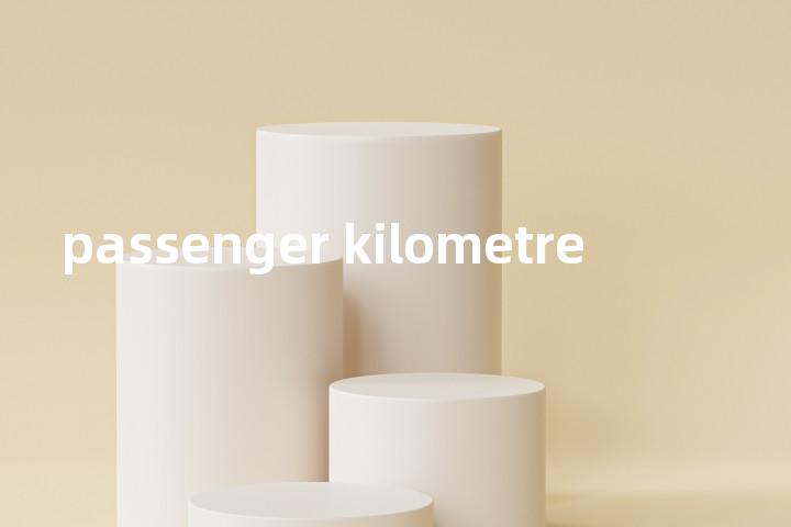 passenger kilometre单词图解，单词释义场景配图