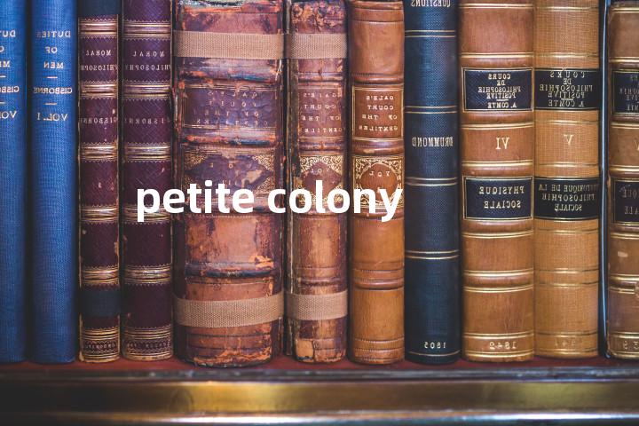 petite colony单词图解，单词释义场景配图