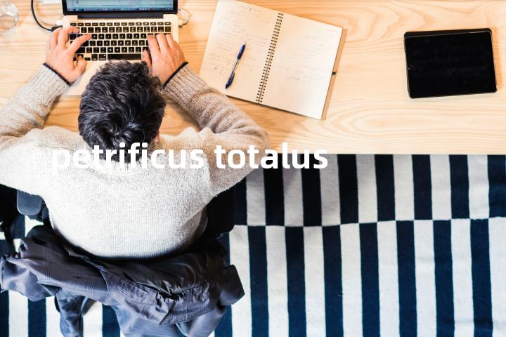 petrificus totalus单词图解，单词释义场景配图