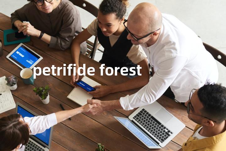 petrifide forest单词图解，单词释义场景配图