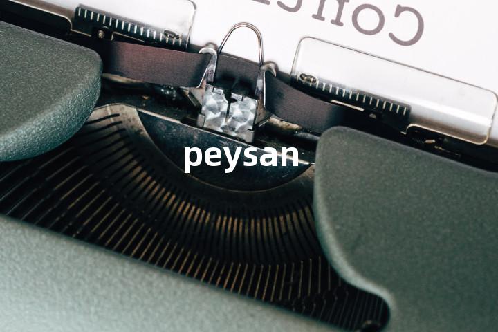 peysan单词图解，单词释义场景配图
