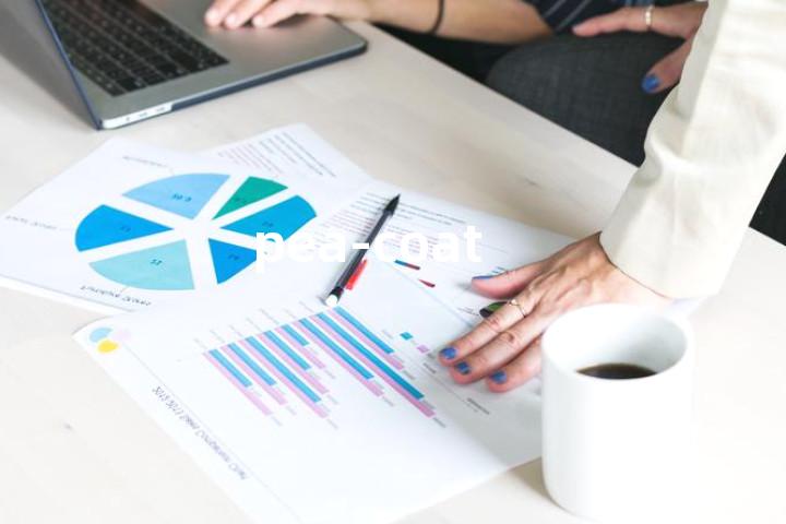pea-coat单词图解，单词释义场景配图
