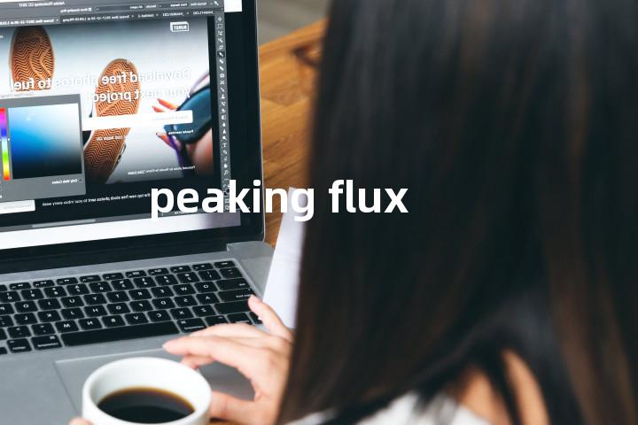 peaking flux单词图解，单词释义场景配图