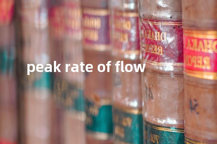 peak rate of flow单词图解，单词释义场景配图