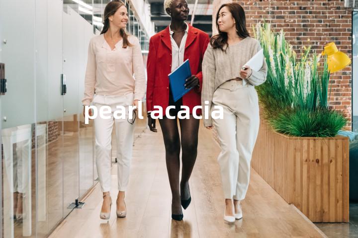 pearl acacia单词图解，单词释义场景配图