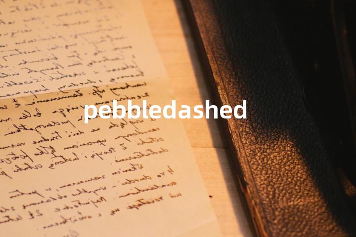 pebbledashed单词图解，单词释义场景配图