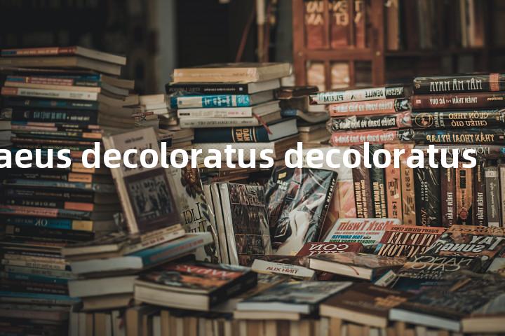 peblephaeus decoloratus decoloratus单词图解，单词释义场景配图