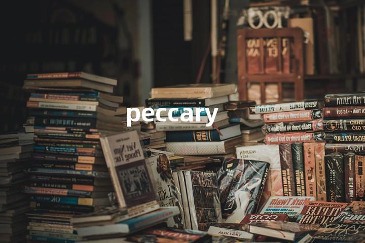 peccary