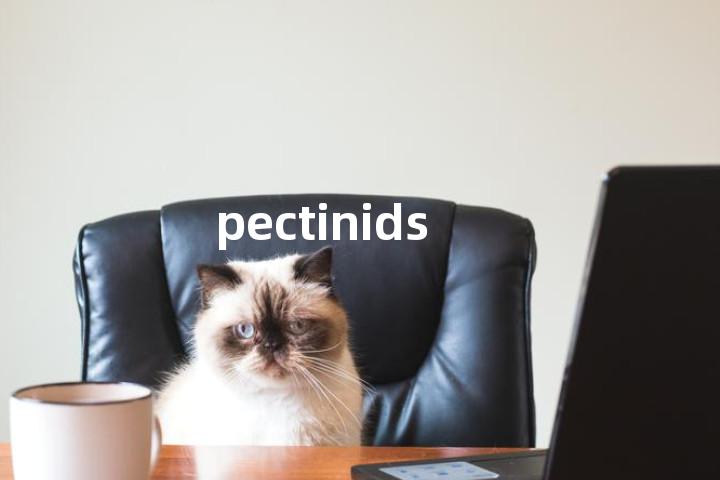 pectinids单词图解，单词释义场景配图