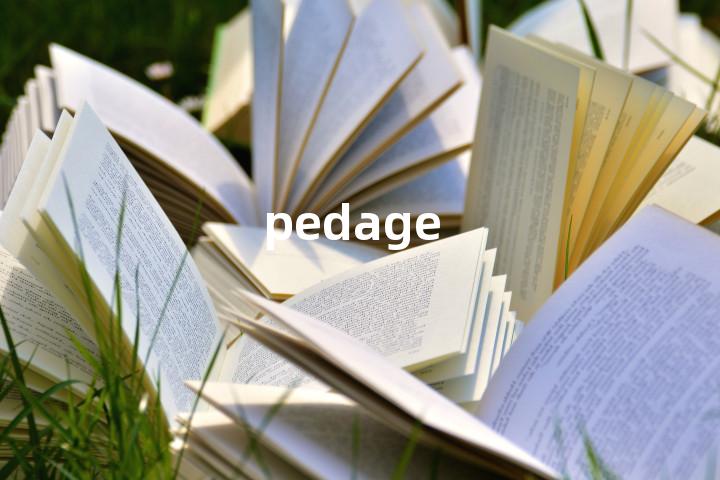 pedage单词图解，单词释义场景配图