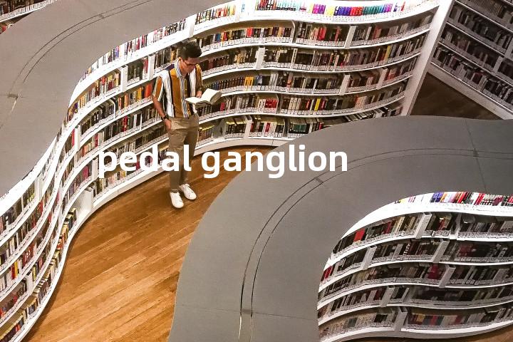 pedal ganglion单词图解，单词释义场景配图