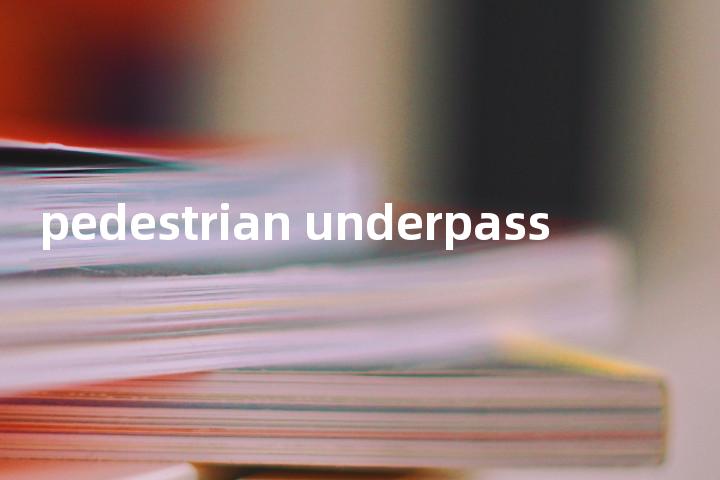 pedestrian underpass单词图解，单词释义场景配图